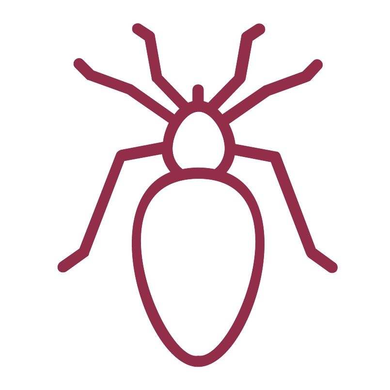 Flea, tick and worm treatments