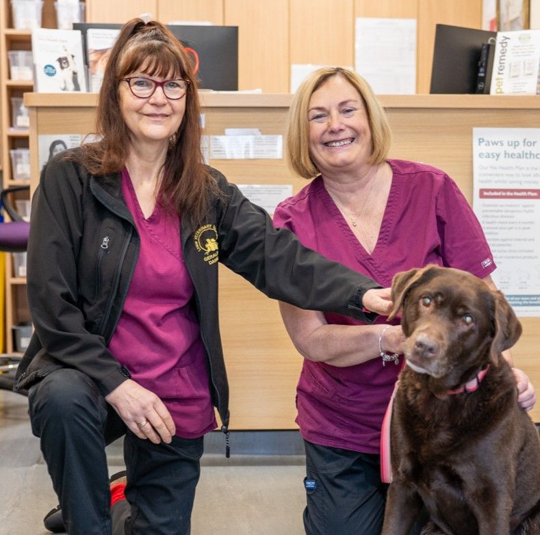 The Willows Veterinary Group - Lymm (Web) 002