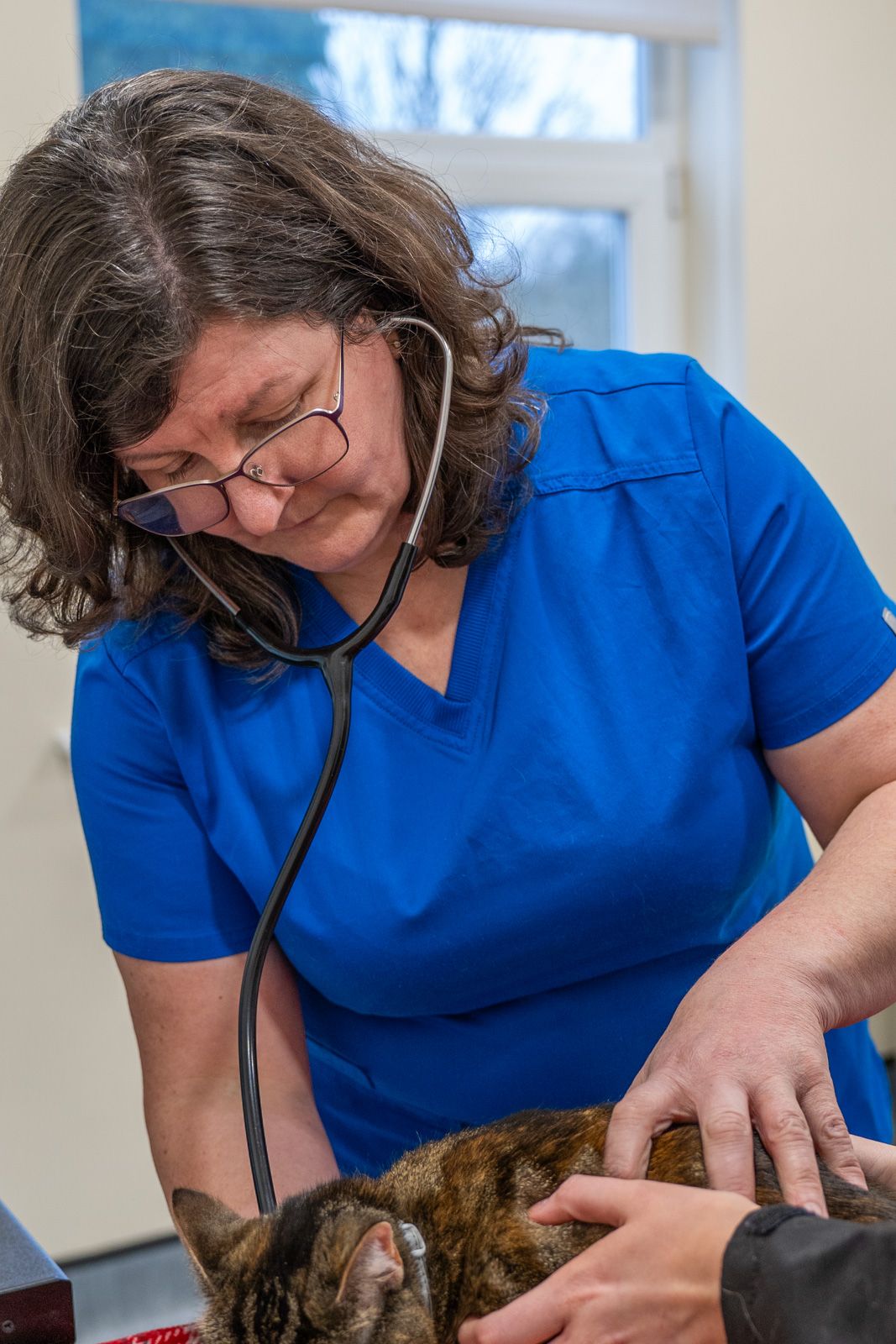 The Willows Veterinary Group - Lymm (Web) 038