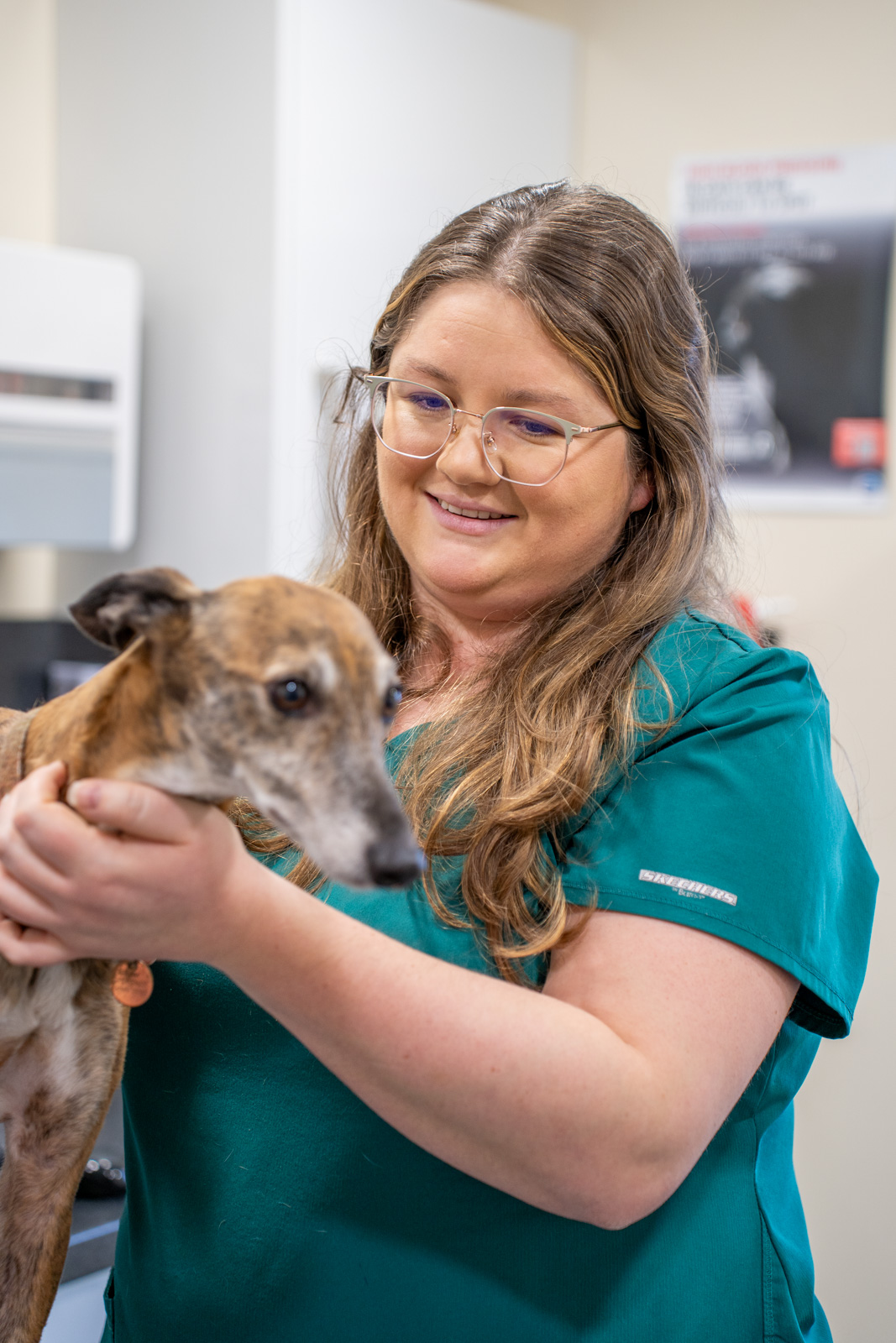 The Willows Veterinary Group - Lymm (Web) 023